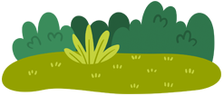 bush